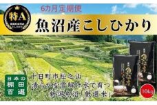【令和7年産新米予約】【食味鑑定士厳選】6カ月 定期便 日本棚田百選のお米 天空の里 魚沼産 こしひかり 10kg(5kg×2)×6回 米 お米 コメ