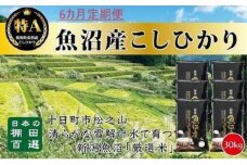 【令和7年産新米予約】【食味鑑定士厳選】6カ月 定期便 日本棚田百選のお米 天空の里 魚沼産 こしひかり 30kg(5kg×6)×6回 米 お米 コメ