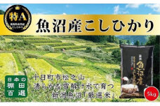 【令和7年産新米予約】【食味鑑定士厳選】日本棚田百選のお米　天空の里 魚沼産 こしひかり 5kg