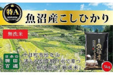 【令和7年産新米予約】【食味鑑定士厳選】日本棚田百選のお米 無洗米 天空の里 魚沼産 こしひかり 5kg×1