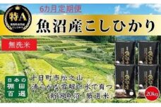 【令和7年産新米予約】 【食味鑑定士厳選】無洗米 6カ月 定期便 日本棚田百選のお米 天空の里 魚沼産 こしひかり 20kg(5kg×4)×6回 米 お米 コメ