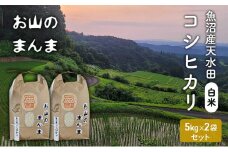 農家直送 新潟県十日町市 魚沼産天水田 コシヒカリ お山のまんま 白米 5kg×2袋セット