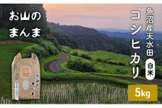 農家直送 新潟県十日町市 魚沼産天水田 コシヒカリ お山のまんま 白米 5kg