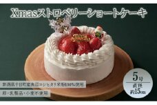 Xmasストロベリーショートケーキ 5号 直径約15cm アレルギー対応 特定原材料不使用 クリスマスケーキ ストロベリーケーキ ショートケーキ ホール ケーキ お菓子 洋菓子 デザート スイーツ 新潟県 十日町市 十日町すこやかファクトリー