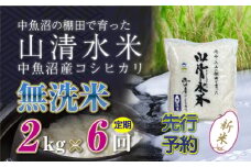 【先行新米予約】【定期便／全6回】無洗米2kg　新潟県魚沼産コシヒカリ「山清水米」十日町市 米