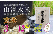 【先行新米予約】【定期便／全12回】玄米3kg　新潟県魚沼産コシヒカリ「山清水米」十日町市 米