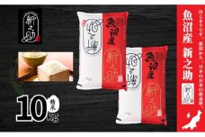 【令和6年産】魚沼産新之助(精米)10kg 米 お米 精米 しんのすけ 中魚沼 新潟県 十日町市