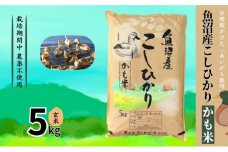 【令和6年産】魚沼産コシヒカリかも米(玄米)5kg　※栽培期間中農薬不使用 米 お米 こしひかり 玄米 かも米 中魚沼 新潟県 十日町市