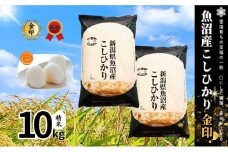 【令和6年産】魚沼産コシヒカリ金印(精米)10kg 米 お米 こしひかり 精米 中魚沼 新潟県 十日町市