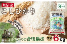 魚沼産 コシヒカリ 6kg あいがも農法 有機栽培米 玄米 米 お米 ご飯 胚芽 合鴨 ごんべい こしひかり 特A 人気 安全 お取り寄せ 送料無料 新潟県 十日町市