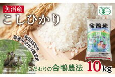 魚沼産 コシヒカリ 10kg あいがも農法 有機栽培米 精米 米 お米 ご飯 白米 合鴨 ごんべい こしひかり 特A 人気 安全 お取り寄せ 送料無料 新潟県 十日町市