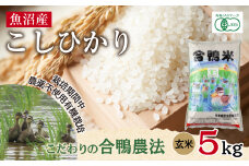 魚沼産 コシヒカリ 5kg あいがも農法 有機栽培米 玄米 米 お米 ご飯 胚芽 合鴨 ごんべい こしひかり 特A 人気 安全 お取り寄せ 送料無料 新潟県 十日町市