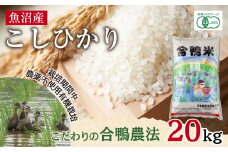魚沼産 コシヒカリ 20kg あいがも農法 有機栽培米 精米 米 お米 ご飯 白米 合鴨 ごんべい こしひかり 特A 人気 安全 お取り寄せ 送料無料 新潟県 十日町市