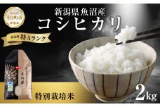 魚沼産 コシヒカリ 特別栽培米 精米 2kg 米 コメ お米 ごはん ご飯 白米 こしひかり 新潟県産 魚沼 人気 国産 産地直送 お取り寄せ 送料無料 新潟県 十日町