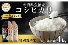 魚沼産 コシヒカリ 特別栽培米 精米 4kg 米 コメ お米 ごはん ご飯 白米 こしひかり 新潟県産 魚沼 人気 国産 産地直送 お取り寄せ 送料無料 新潟県 十日町