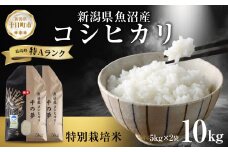 魚沼産 コシヒカリ 特別栽培米 精米 計10kg 5kg×2袋 米 コメ お米 ごはん ご飯 白米 こしひかり 新潟県産 魚沼 人気 国産 産地直送 お取り寄せ 送料無料 新潟県 十日町