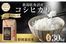魚沼産 コシヒカリ 特別栽培米 玄米 30kg 米 コメ お米 ごはん ご飯 白米 こしひかり 新潟県産 魚沼 人気 国産 産地直送 お取り寄せ 送料無料 新潟県 十日町