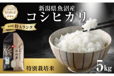 魚沼産 コシヒカリ 特別栽培米 精米 5kg 米 コメ お米 ごはん ご飯 白米 こしひかり 新潟県産 魚沼 人気 国産 産地直送 お取り寄せ 送料無料 新潟県 十日町