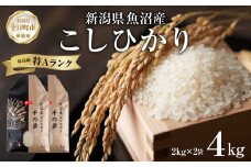 魚沼産 コシヒカリ 精米 4kg 米 コメ お米 ごはん ご飯 白米 こしひかり 新潟県産 魚沼 人気 国産 産地直送 お取り寄せ 送料無料 新潟県 十日町
