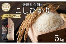 魚沼産 コシヒカリ 精米 5kg 米 コメ お米 ごはん ご飯 白米 こしひかり 新潟県産 魚沼 人気 国産 産地直送 お取り寄せ 送料無料 新潟県 十日町