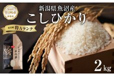 魚沼産 コシヒカリ 精米 2kg 米 コメ お米 ごはん ご飯 白米 こしひかり 新潟県産 魚沼 人気 国産 産地直送 お取り寄せ 送料無料 新潟県 十日町