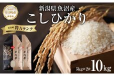 魚沼産 コシヒカリ 精米 10kg 米 コメ お米 ごはん ご飯 白米 こしひかり 新潟県産 魚沼 人気 国産 産地直送 お取り寄せ 送料無料 新潟県 十日町