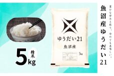 【令和6年産】魚沼産ゆうだい21(精米)5kg 米 お米 精米 ゆうだい 中魚沼 新潟県 十日町市