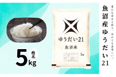 【令和7年産】魚沼産ゆうだい21(精米)5kg 米 お米 精米 ゆうだい 中魚沼 新潟県 十日町市