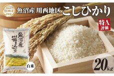 魚沼産 川西 こしひかり 20kg 精米 米 コメ お米 ごはん ご飯 白米 おにぎり 炊き立て ブランド米 コシヒカリ 新潟県産 魚沼 人気 国産 産地直送 お取り寄せ 送料無料 新潟県 十日町