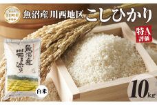 魚沼産 川西 こしひかり 10kg 精米 米 コメ お米 ごはん ご飯 白米 おにぎり 炊き立て ブランド米 コシヒカリ 新潟県産 魚沼 人気 国産 産地直送 お取り寄せ 送料無料 新潟県 十日町