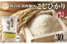 魚沼産 川西 こしひかり 30kg 精米 米 コメ お米 ごはん ご飯 白米 おにぎり 炊き立て ブランド米 コシヒカリ 新潟県産 魚沼 人気 国産 産地直送 お取り寄せ 送料無料 新潟県 十日町