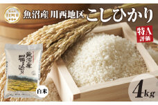 魚沼産 川西 こしひかり 4kg 精米 米 コメ お米 ごはん ご飯 白米 おにぎり 炊き立て ブランド米 コシヒカリ 新潟県産 魚沼 人気 国産 産地直送 お取り寄せ 送料無料 新潟県 十日町