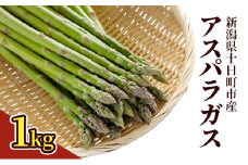 アスパラガス 1kg 野菜 アスパラ 新潟県 十日町市