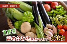 夏野菜詰め合わせ　おまかせセット 野菜　茶豆 とうもろこし トマト なす きゅうり ピーマン ズッキーニ おまかせ 新潟県 十日町市