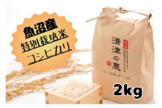 令和７年産【１０月発送開始！】魚沼産特別栽培米コシヒカリ［清津の恵］精米2kg（１kgx2袋）