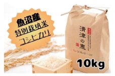 令和７年産【１０月発送開始！】魚沼産特別栽培米コシヒカリ［清津の恵］精米10kg（5kgx2袋）