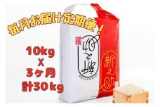 【通年受付】令和７年産【１０月発送開始！】魚沼産新之助　精米10kg（5kgx2袋）全3回 十日町市 十日町 米 