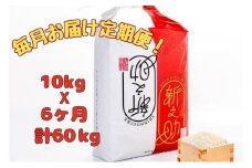 【通年受付】令和７年産【１０月発送開始！】魚沼産新之助　精米10kg（5kgx2袋）全6回 十日町市 十日町 米