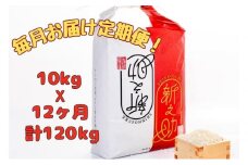 【通年受付】令和７年産【１０月発送開始！】魚沼産新之助　精米10kg（5kgx２袋）全12回 十日町市 十日町 米