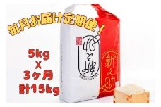 【通年受付】令和７年産【１０月発送開始！】魚沼産新之助　精米5kg　全3回 十日町市 十日町 米
