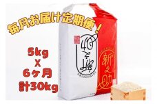 【通年受付】令和７年産【１０月発送開始！】魚沼産新之助　精米5kg　全6回 十日町市 十日町 米