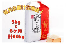 【通年受付】令和７年産【１０月発送開始！】魚沼産新之助　精米5kg　全6回 十日町市 十日町 米