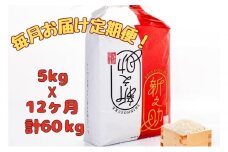 【通年受付】令和７年産【１０月発送開始！】魚沼産新之助　精米5kg　全12回 十日町市 十日町 米