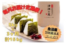 【通年受付】令和７年産【１０月発送開始！】魚沼産特別栽培米コシヒカリ［清津の恵］精米5kg　全3回 十日町市 十日町 米