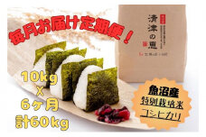 【通年受付】令和７年産【１０月発送開始！】魚沼産特別栽培米コシヒカリ［清津の恵］精米10kg（5kgx２袋）全6回 十日町市 十日町 米