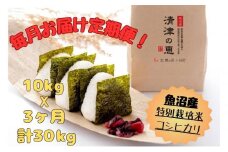 【通年受付】令和７年産【１０月発送開始！】魚沼産特別栽培米コシヒカリ［清津の恵］精米10kg（5kgx２袋）全3回 十日町市 十日町 米