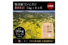 【令和7年産】定期便！魚沼産コシヒカリ【合計30kg】毎月5kg×6回 お米 ブランド米 銘柄米 精米 白米 ご飯 おにぎり お弁当 和食 産地直送 