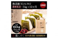 【令和7年産】定期便！魚沼産コシヒカリ【合計60kg】毎月5kg×12回 お米 ブランド米 銘柄米 精米 白米 ご飯 おにぎり お弁当 和食 産地直送 
