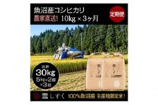 【令和7年産】定期便！魚沼産コシヒカリ【合計30kg】毎月10kg×3回 お米 ブランド米 銘柄米 精米 白米 ご飯 おにぎり お弁当 和食 産地直送 