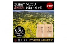 【令和7年産】定期便！魚沼産コシヒカリ【合計60kg】毎月10kg×6回 お米 ブランド米 銘柄米 精米 白米 ご飯 おにぎり お弁当 和食 産地直送 